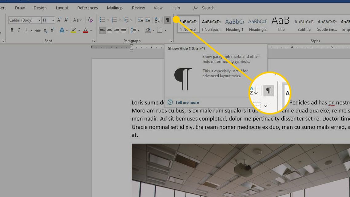 hide text in word for mac